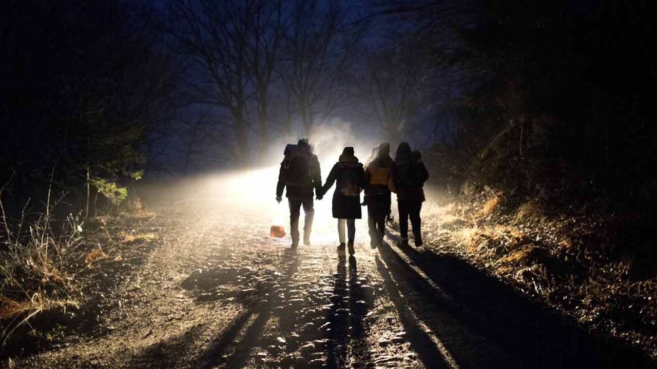 অভিবাসী গ্রহণ থেকে অব্যাহতি চাইতে পারে জার্মানি