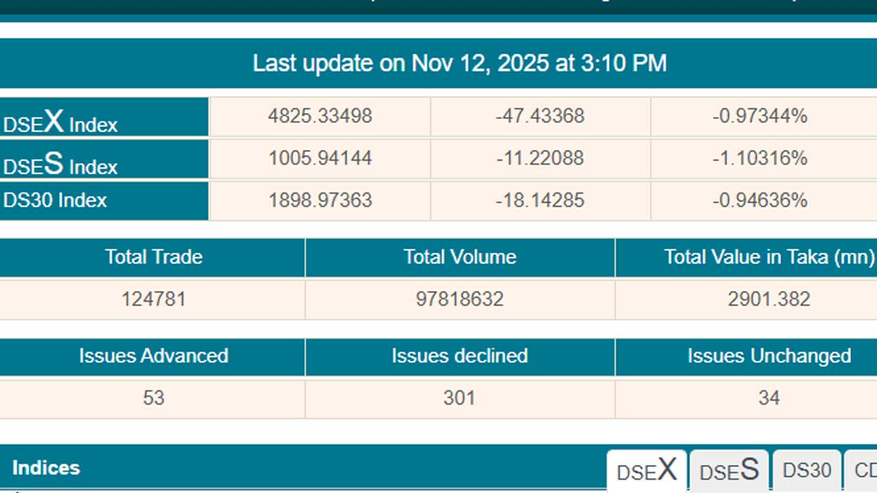 একদিন পর ফের বড় দরপতন, লেনদেন ৩০০ কোটির নিচে