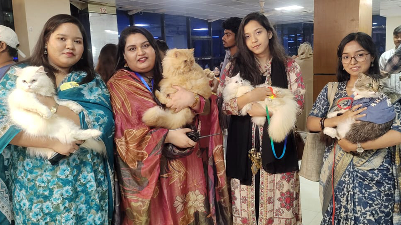 খুলনায় বিড়ালপ্রেমীদের মিলনমেলা