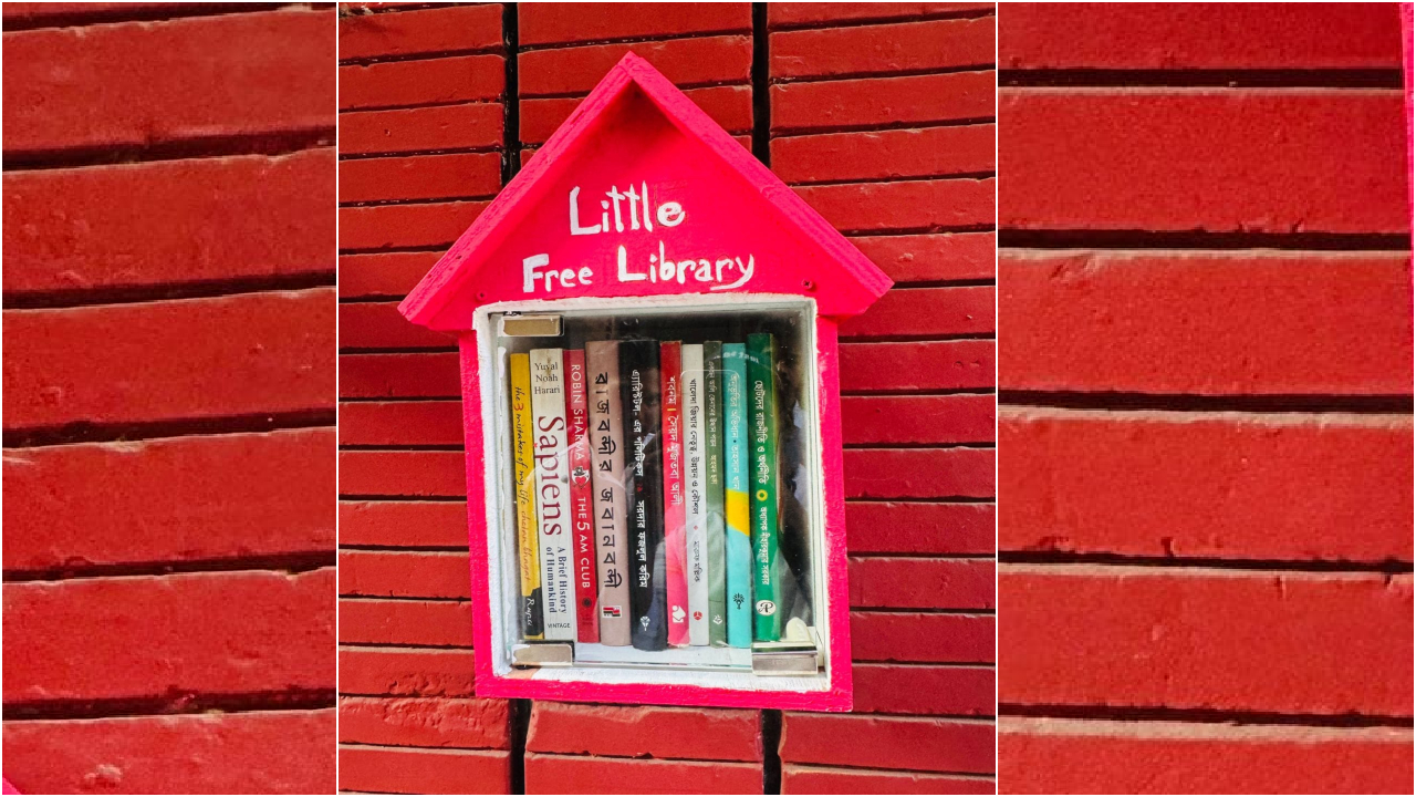 ঢাবিতে ছাত্রদলের উদ্যোগে ‘লিটল ফ্রি লাইব্রেরি’ স্থাপন