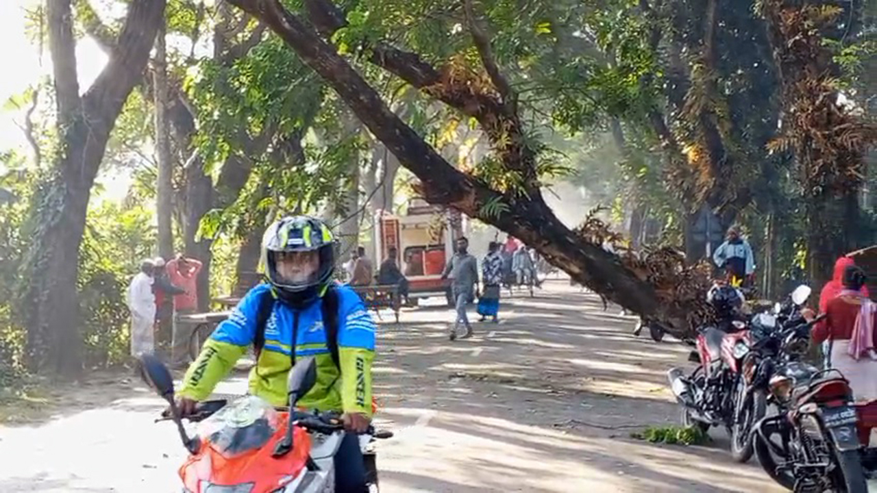 সাড়ে ৩ ঘণ্টা পর ঢাকা-বরিশাল মহাসড়কে যান চলাচল স্বাভাবিক