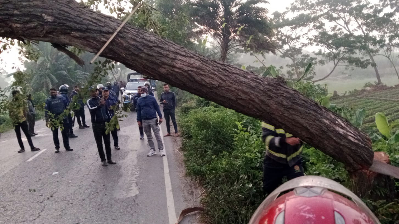 ঢাকা-বরিশাল মহাসড়কে গাছ ফেলে ২ ঘণ্টা অবরোধ
