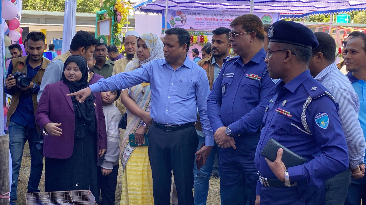 হাঁসের খামারে প্রবাসীর সফলতার গল্প শোনালেন নোয়াখালীর ডিসি