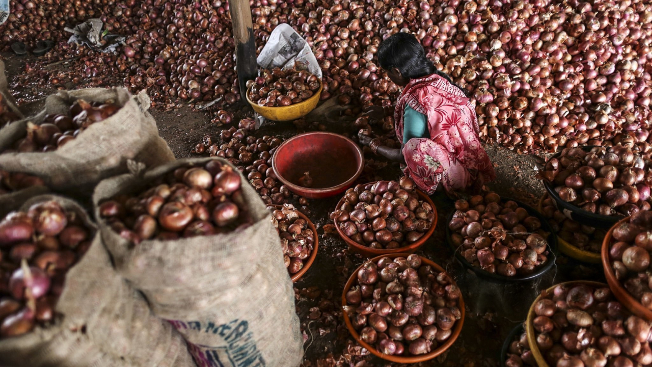 পেঁয়াজের দামে দেশে ক্রেতার চোখে পানি, ভারতে কাঁদছে বিক্রেতা