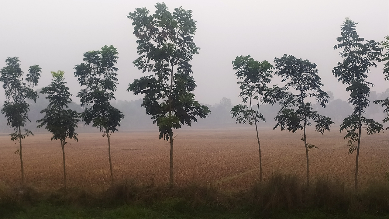 কনকনে শীতে কাঁপছে তেঁতুলিয়া, শৈত্যপ্রবাহের আভাস