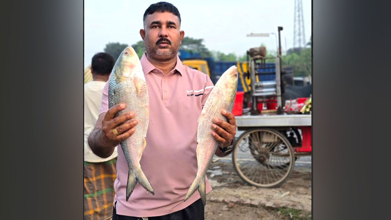 পদ্মার দুই ইলিশ ১৯ হাজার ৭০০ টাকায় বিক্রি