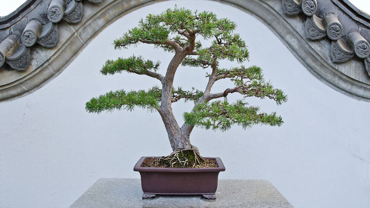 অফুরন্ত সওয়াব লাভের ৩ আমল