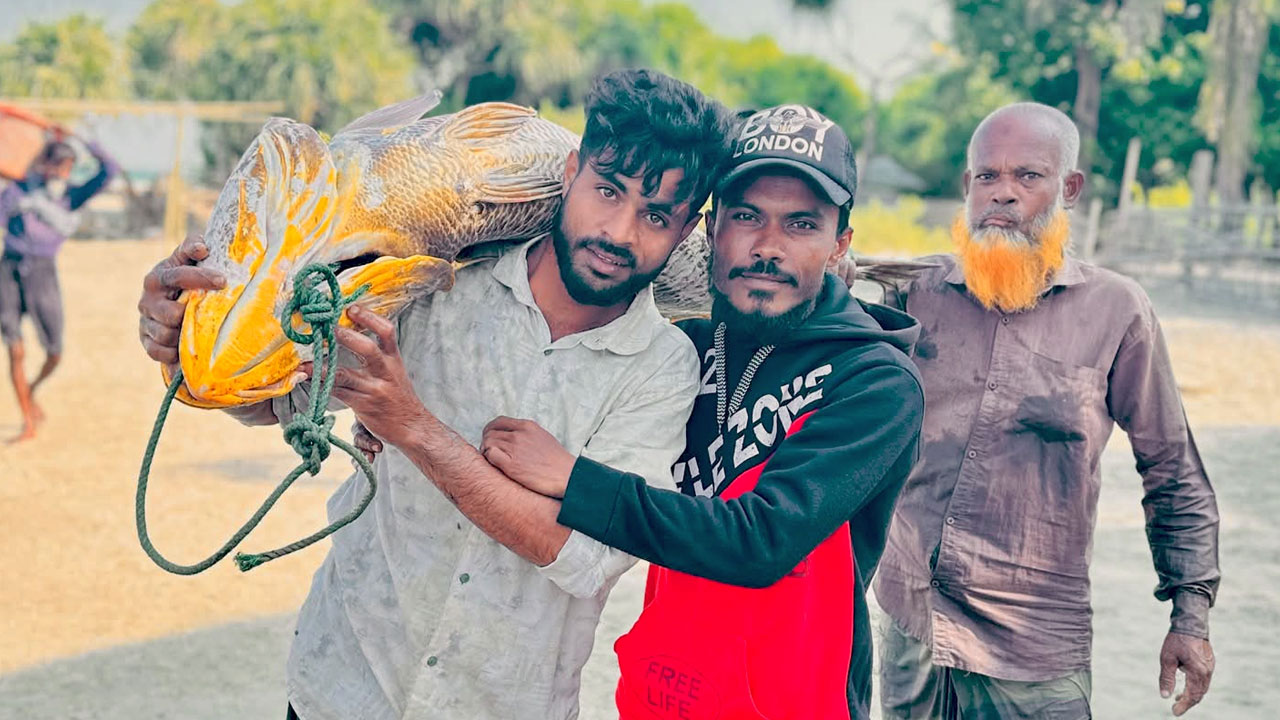 সেন্ট মার্টিনে জেলের জালে ধরা পড়ল ৩৩ কেজি ওজনের পোয়া, ৭ লাখে বিক্রি