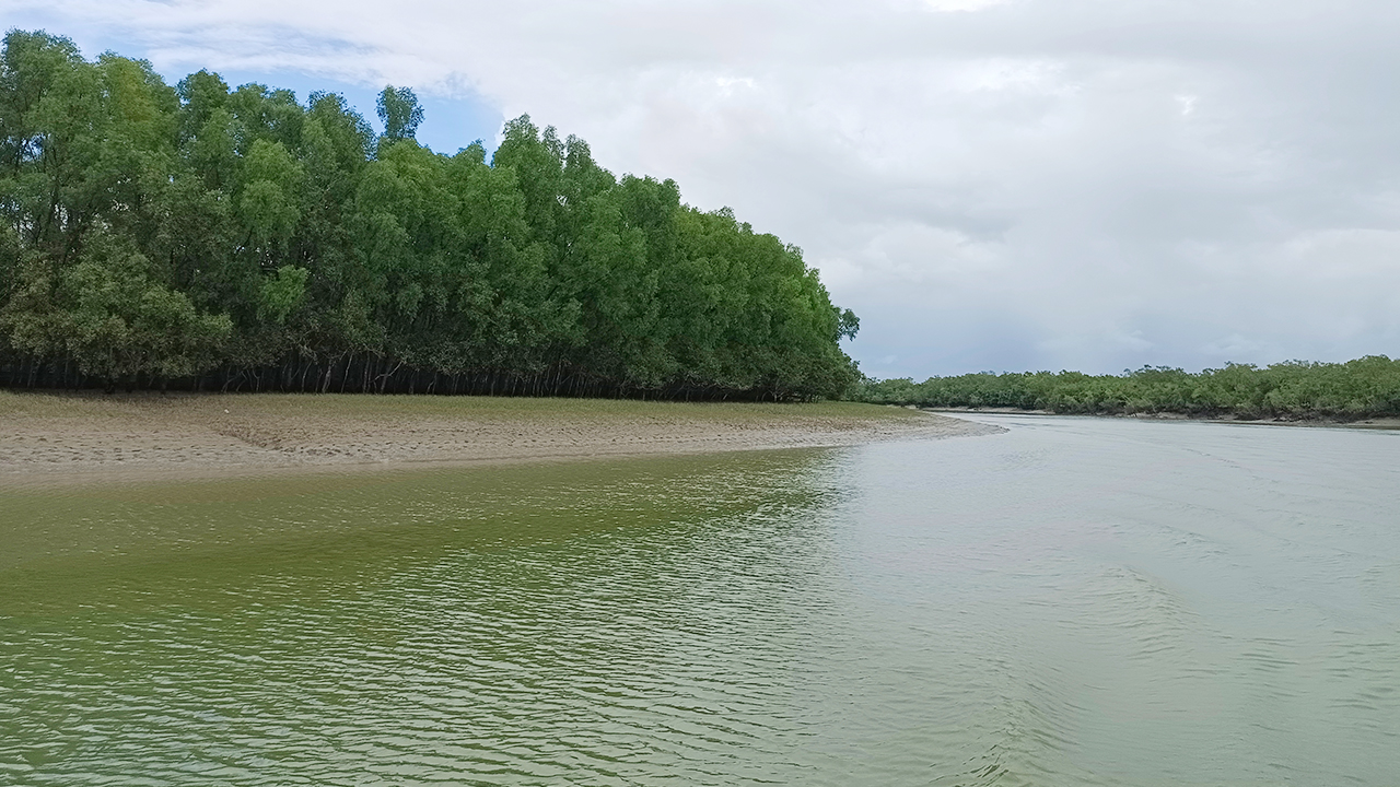 সুন্দরবনে আবারও জেলের মৃত্যু, ছয় মাসে প্রাণ গেছে তিনজনের
