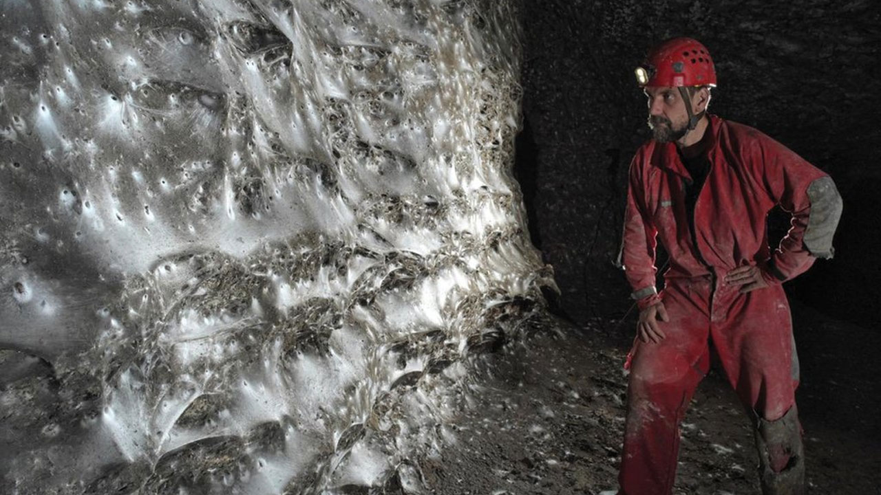 গুহার ভেতর লক্ষাধিক মাকড়সার বিশাল রাজ্য, ১০০ বর্গমিটার এলাকা জুড়ে জাল