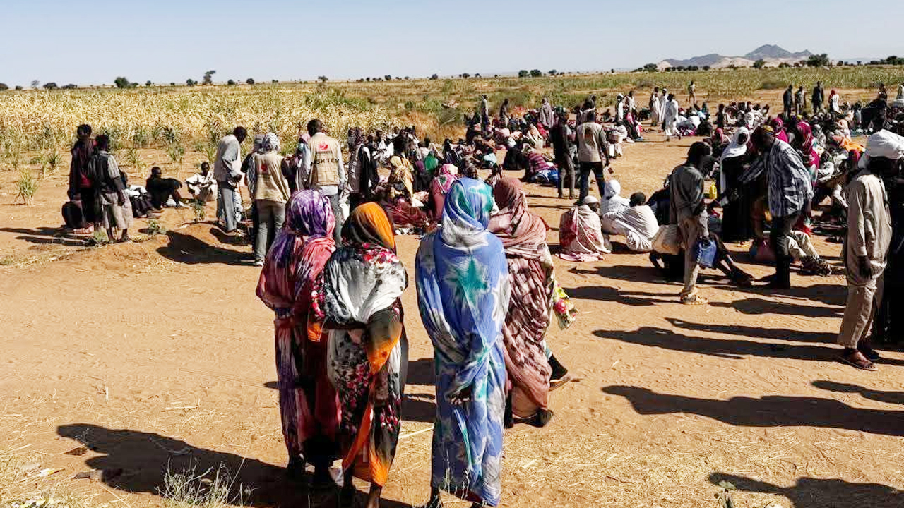 যৌন নিপীড়নের সময় ‘আমি তোমাদের মায়ের বয়সী’ বলে কাঁদেন সুদানি নারী