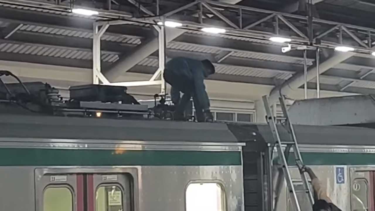 মেট্রোর ছাদে যাত্রী, ট্রেন চলাচল বন্ধ