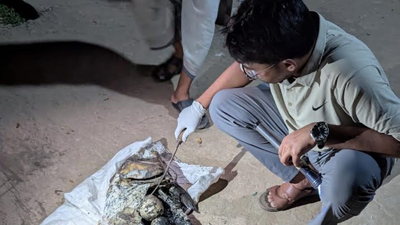 হালদায় মিলল অর্ধগলিত কাতলা মাছ, সুরতহাল শেষে মাটিচাপা