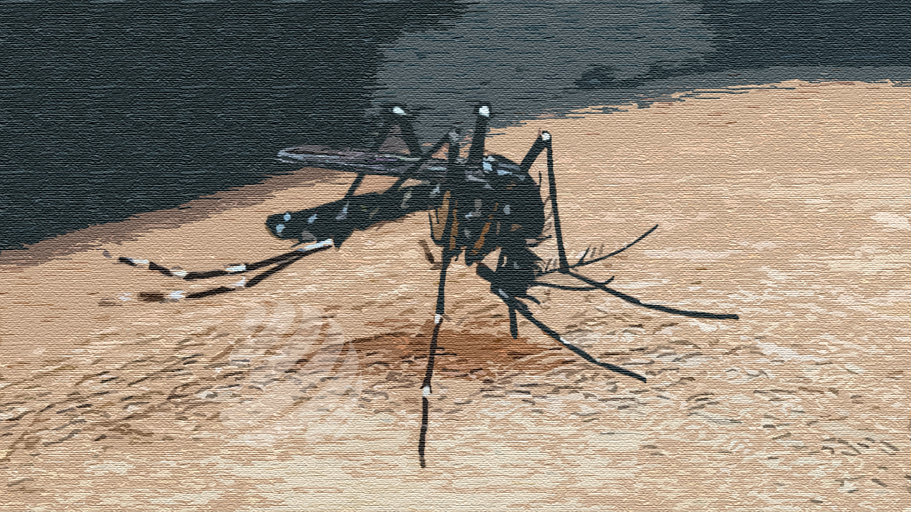 ডেঙ্গুতে আরও ৯ জনের মৃত্যু, হাসপাতালে ভর্তি ১০৪২