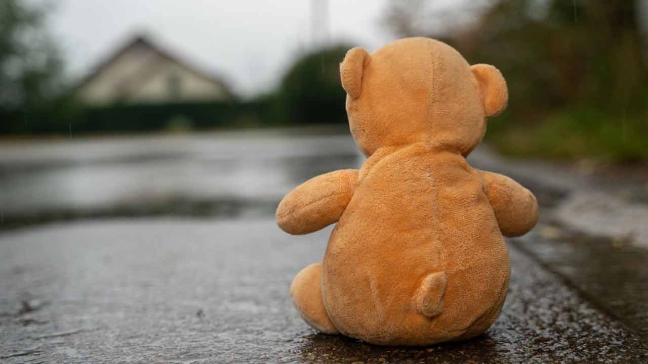 ২০২৪ সালে জার্মানিতে রেকর্ড সংখ্যক মানবপাচার