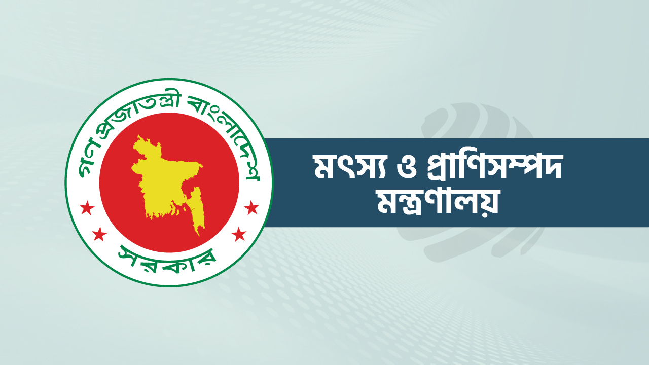 অবৈধ মাছ ধরা নিয়ন্ত্রণে রাখতে ড্রোন কিনছে সরকার