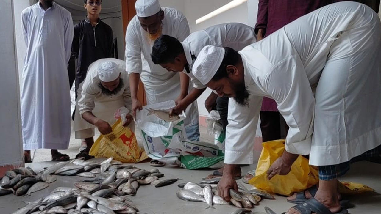 ইলিশ কিনে ফেরার পথে চারজন আটক, ১৫ হাজার টাকা জরিমানা