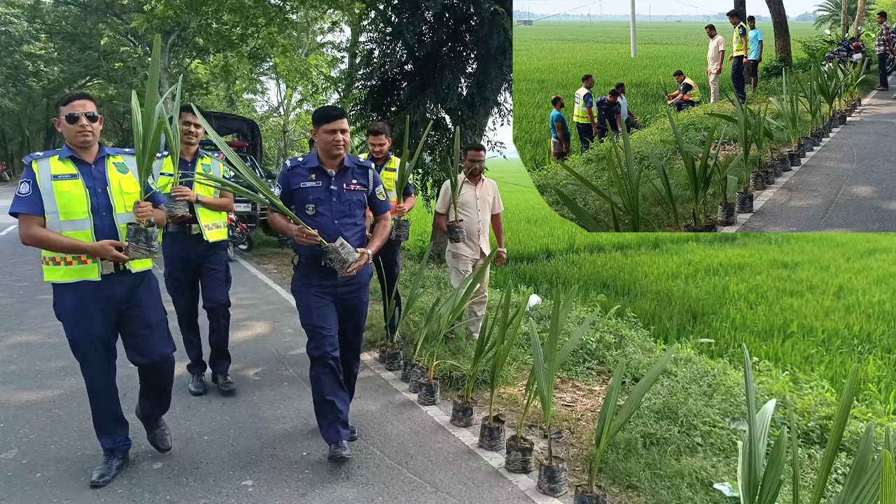 বজ্রপাত রোধ ও পরিবেশ রক্ষায় পুলিশের তালগাছ রোপণ