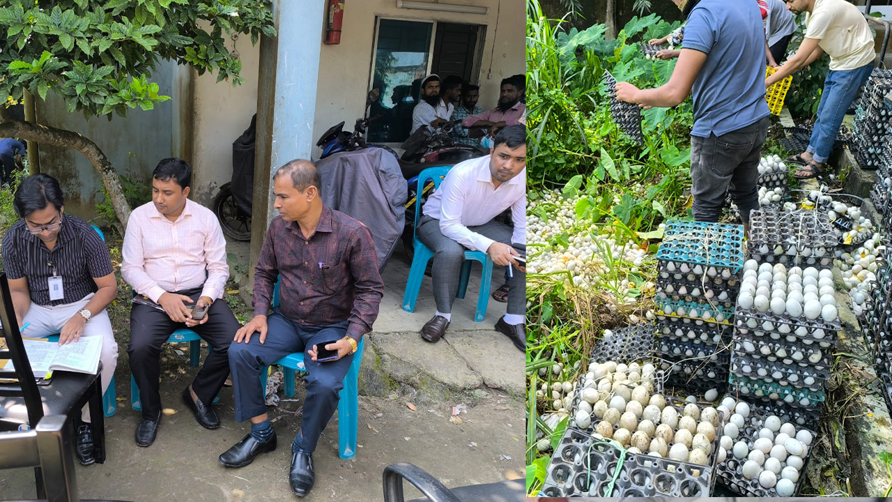 দুই লাখ পচা ডিম ধ্বংস, তিন লাখ টাকা জরিমানা