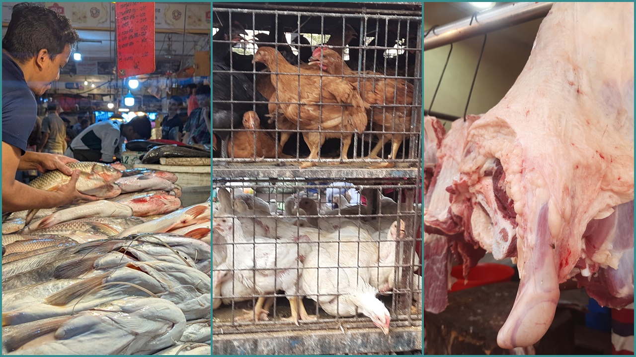 মাছ-মাংসের বাজারে অদৃশ্য সিন্ডিকেট, মধ্যবিত্তের হাঁসফাঁস