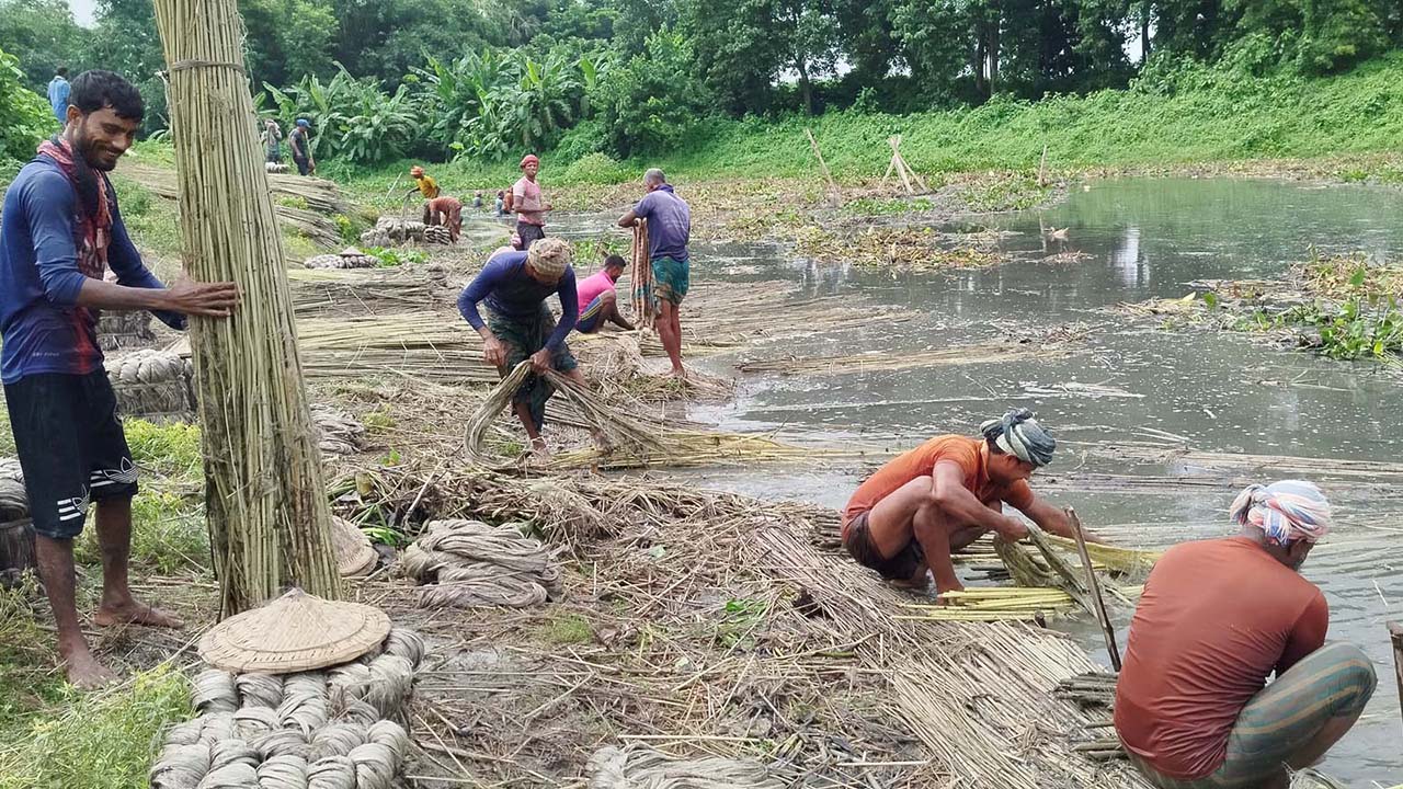 মজুতদারদের দৌরাত্ম্যে বিপাকে পাটকল মালিকরা