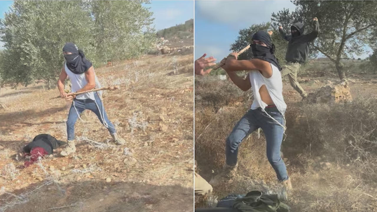 জলপাই তুলতে যাওয়া ফিলিস্তিনি বৃদ্ধার ওপর নৃশংস হামলা ইসরায়েলি সেটেলারের