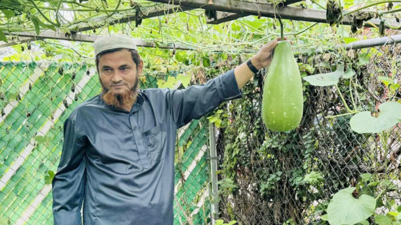 ব্রুকলিনে এক টুকরো বাংলাদেশ, প্রবাসে জামাই-শ্বশুরের সবুজ কৃষির গল্প