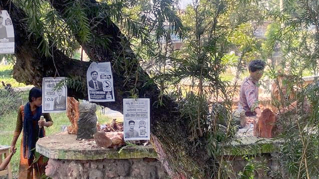 রাজশাহী বিশ্ববিদ্যালয়ে ভোটের আমেজ, ব্যতিক্রম শুধু চারুকলা