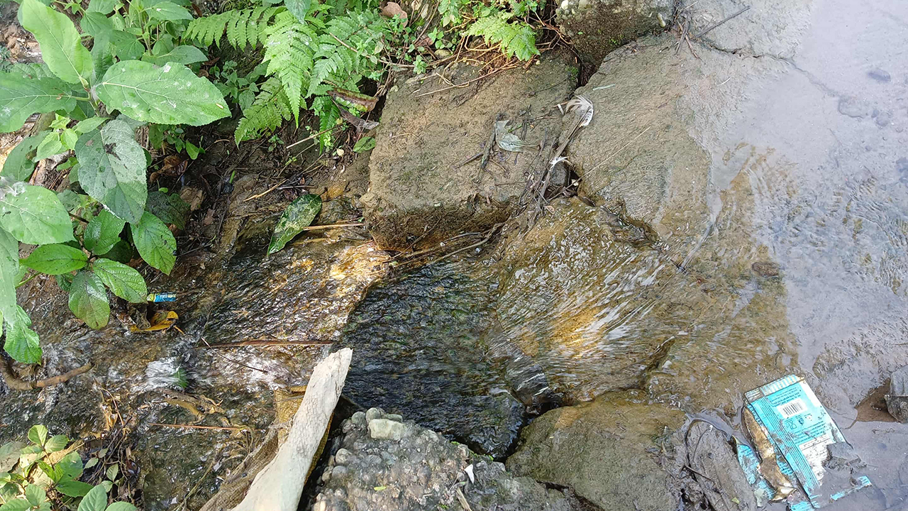 চাহিদার বিপরীতে ঘাটতি সোয়া ২ কোটি, অপচয় ৩ কোটি লিটার পানি