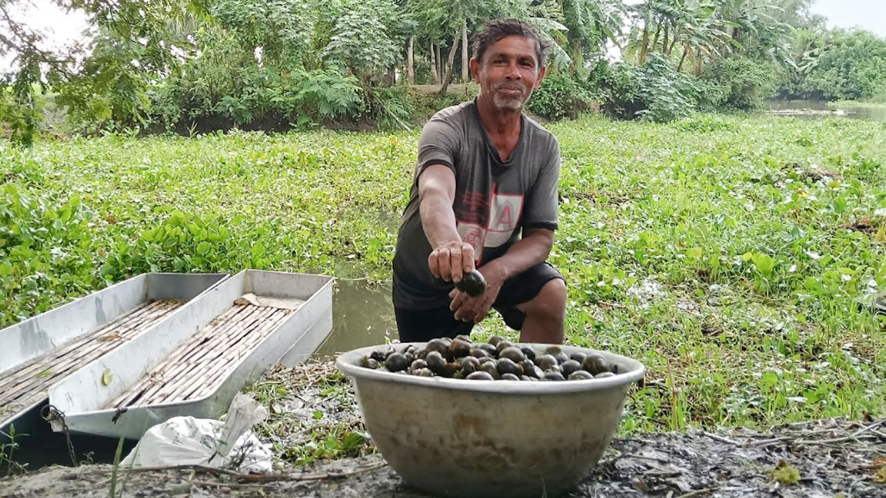 শামুক খুঁজে জীবন চলে তাদের