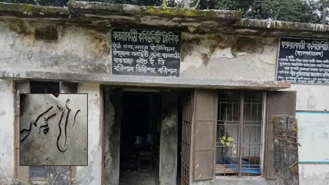 কমিউনিটি ক্লিনিকে একসঙ্গে সাত সাপ
