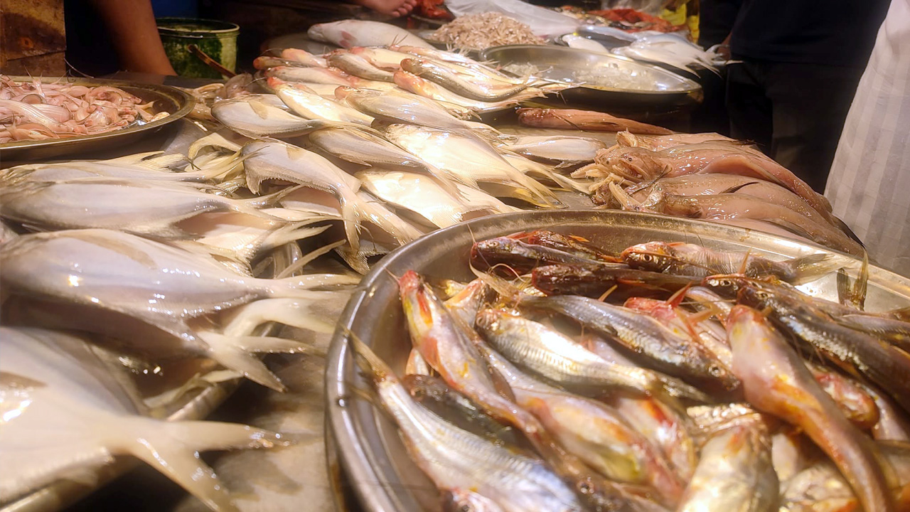 ইলিশ ছাড়াই কাটল নিষেধাজ্ঞার প্রথম দিন