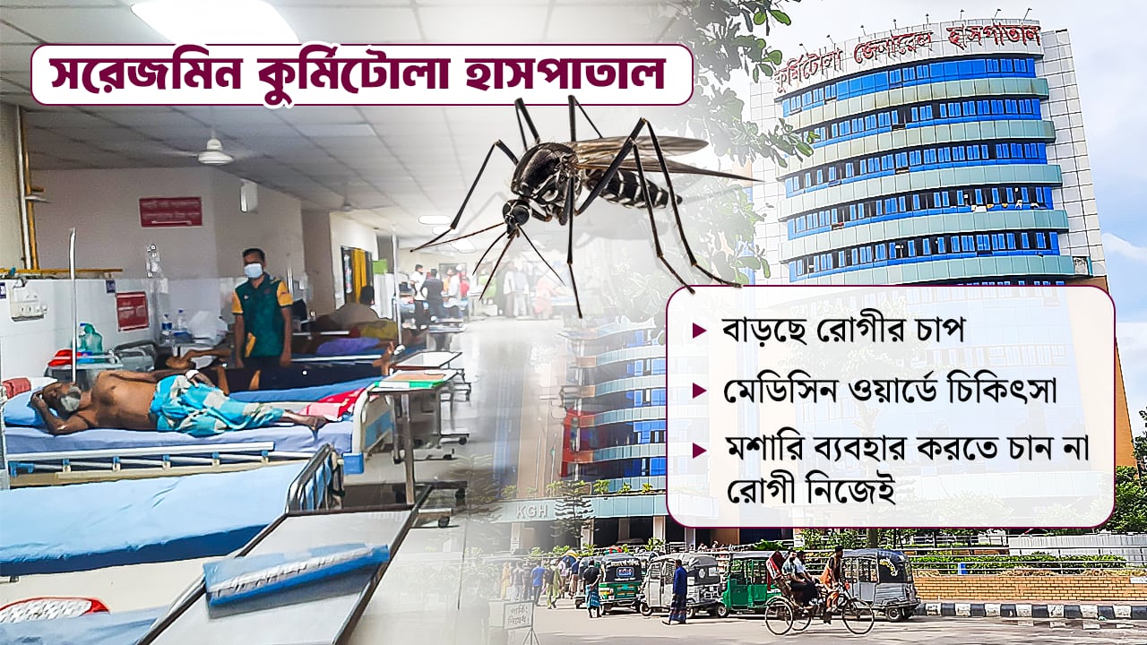 প্রতিদিনই বাড়ছে রোগী, মশারি থাকলেও ব্যবহার করেন না রোগী!