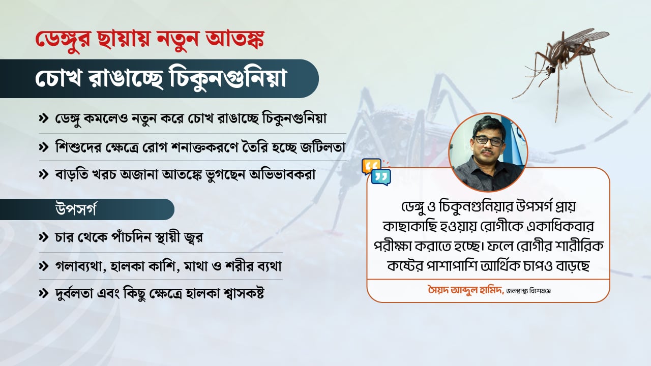 ডেঙ্গু কমলেও বাড়ছে চিকুনগুনিয়া, শনাক্তকরণ নিয়ে জটিলতা