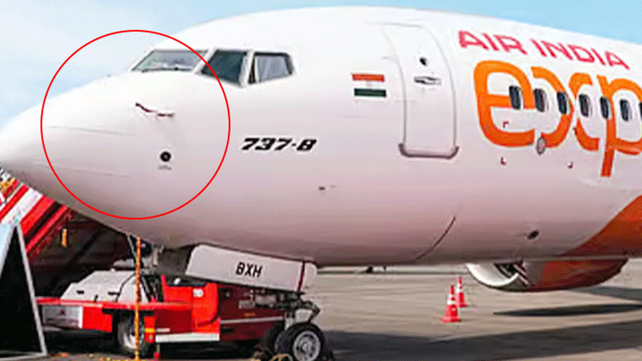 বার্ড স্ট্রাইক, বেঙ্গালুরুতে ফ্লাইট বাতিল করল এয়ার ইন্ডিয়া