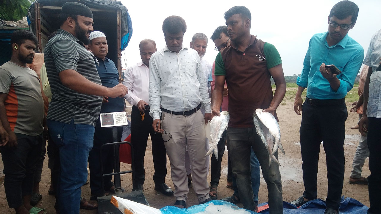 আখাউড়া স্থলবন্দর দিয়ে ভারতে গেল ১১৯২ কেজি ইলিশ