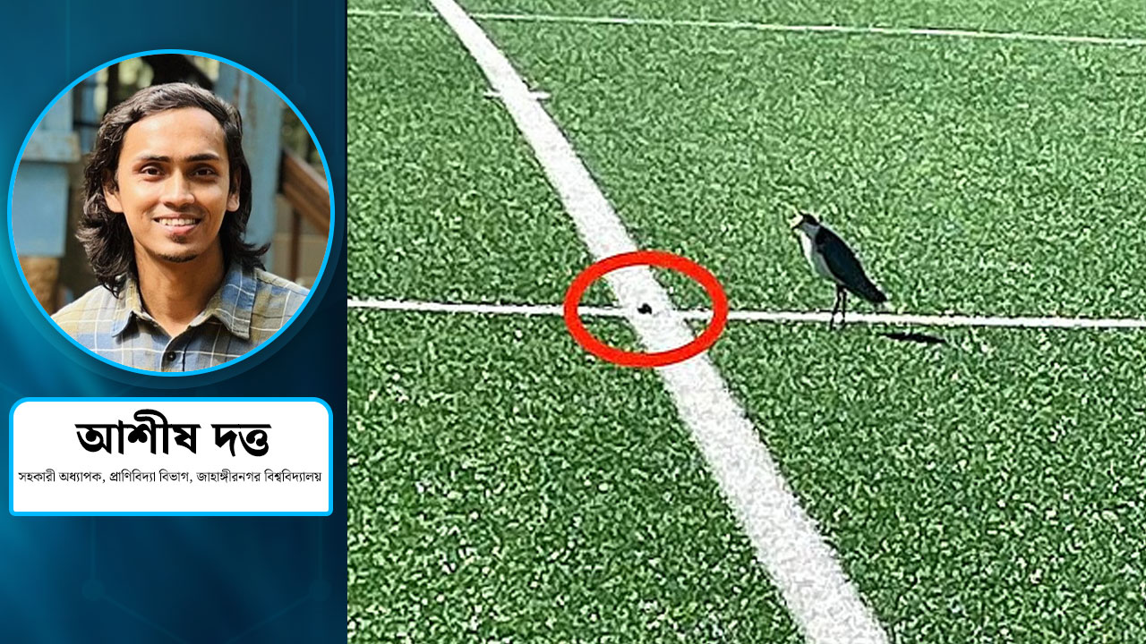 পাখি ডিম পাড়ায় বন্ধ স্টেডিয়াম, প্রকৃতি সংরক্ষণে আমরা কী ভাবছি?