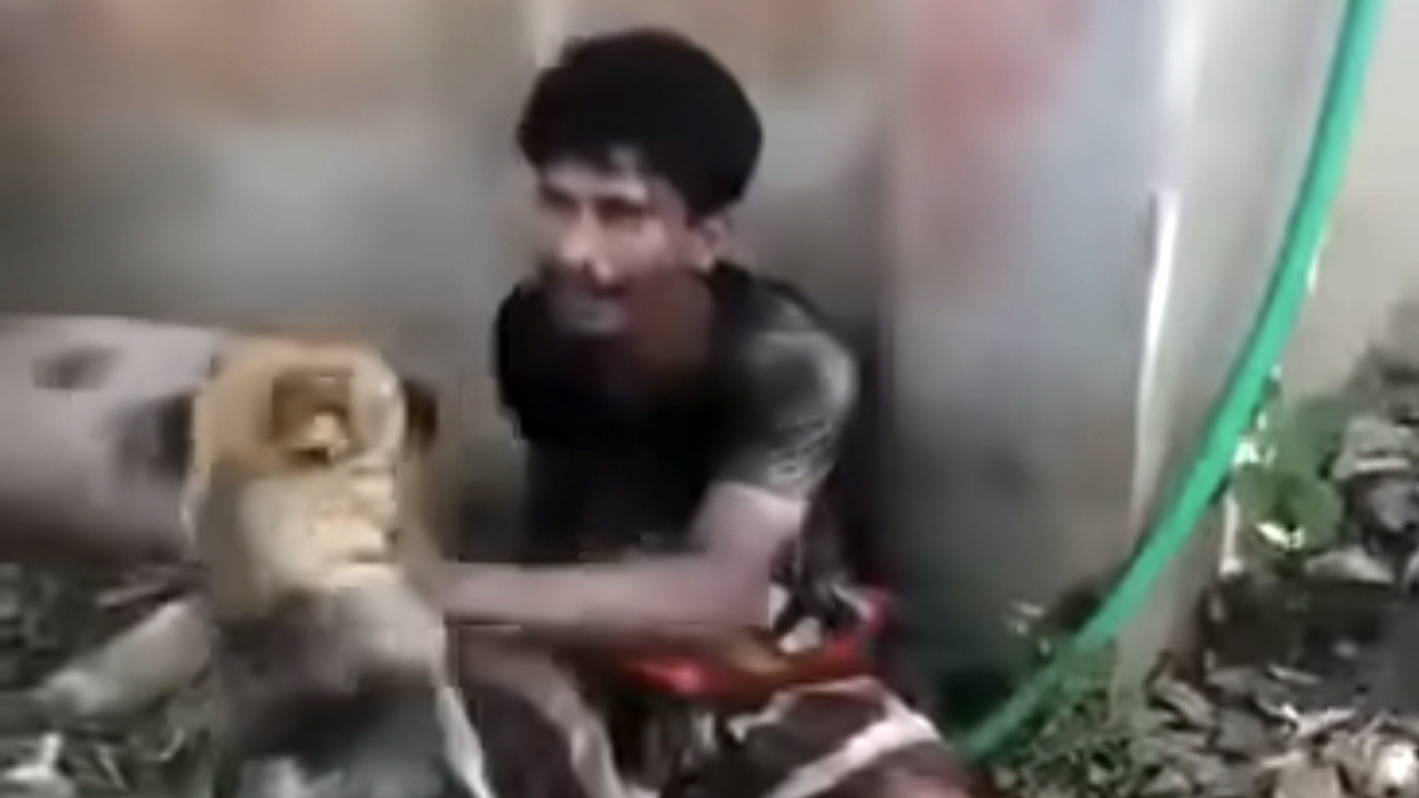 চুরির অভিযোগে কুকুর লেলিয়ে যুবককে নির্যাতন