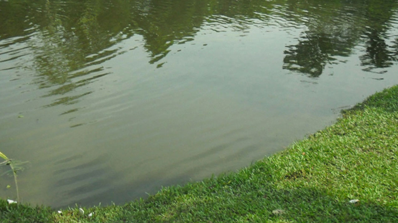 আড়াইহাজারে পুকুরে ডুবে দুই শিশুর মৃত্যু