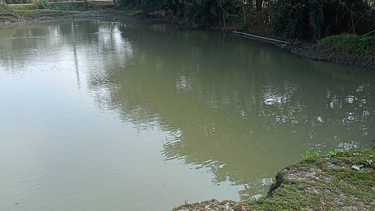 নওগাঁয় পানিতে ডুবে প্রাণ গেল দুই শিশুর