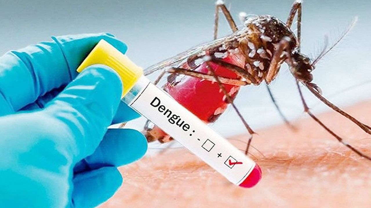 চট্টগ্রামে ডেঙ্গু ও চিকুনগুনিয়ায় আরও ৭২ জন আক্রান্ত