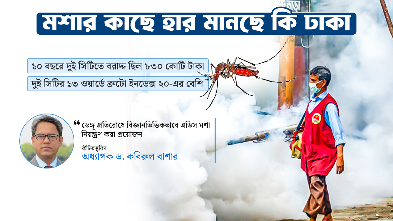 ড্রোন থেকে ব্যাঙ—সব উদ্যোগই ব্যর্থ, মশার কাছে হার মানছে সবাই?