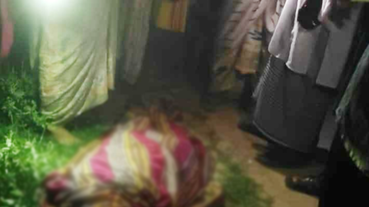 রাস্তা পার হতে গিয়ে না ফেরার দেশে পাড়ি দিলেন রওশন আরা