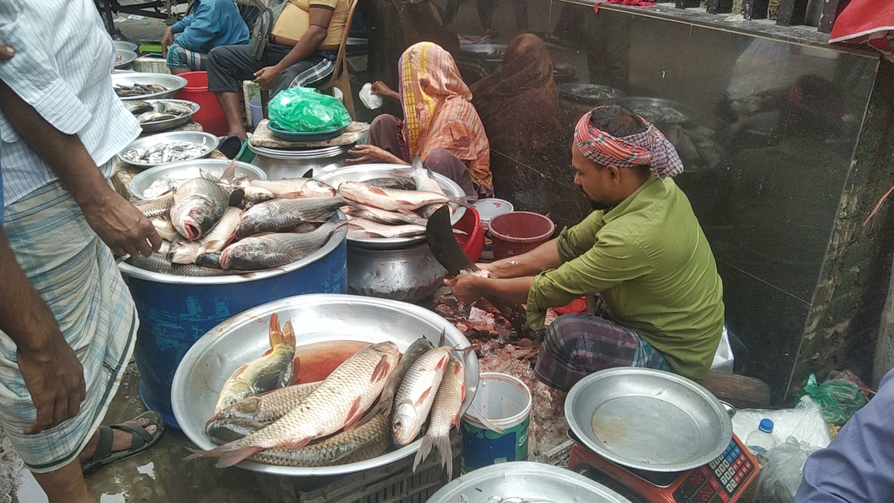 গরিবের পাঙাশ-তেলাপিয়া-ব্রয়লারে আগুন, শুক্রবার এলেই বাড়ে দাম