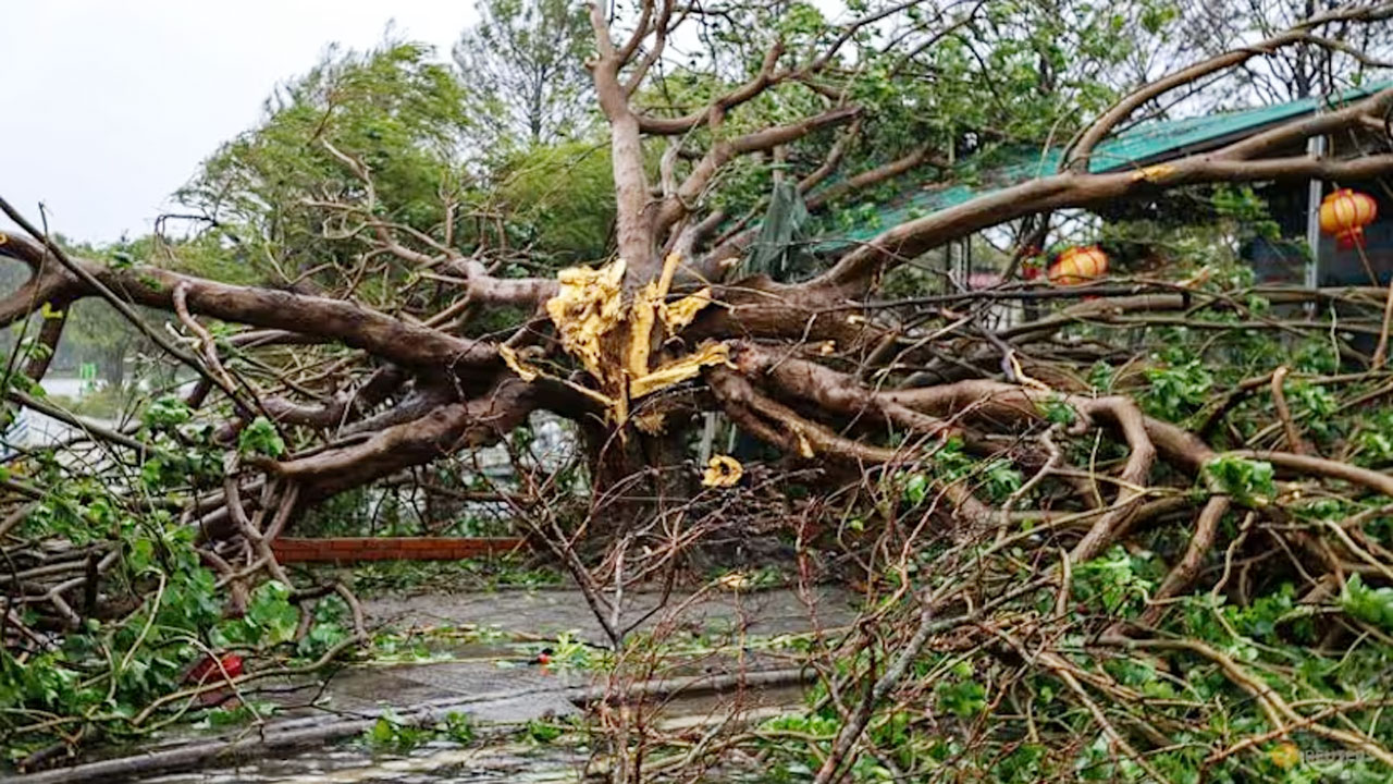 টাইফুন বুয়ালোই : ভিয়েতনামে নিহত ১৯, নিখোঁজ ২১