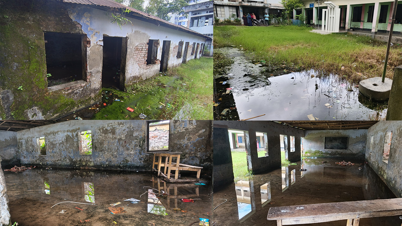 বিদ্যালয়ে পোকামাকড় ও সাপের আতঙ্কে ৬ শতাধিক শিক্ষার্থী