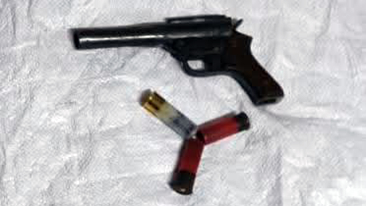 ঝিনাইদহে বাগানে মিলল ‘মেড ইন ইন্ডিয়া’ লেখা রিভলবার