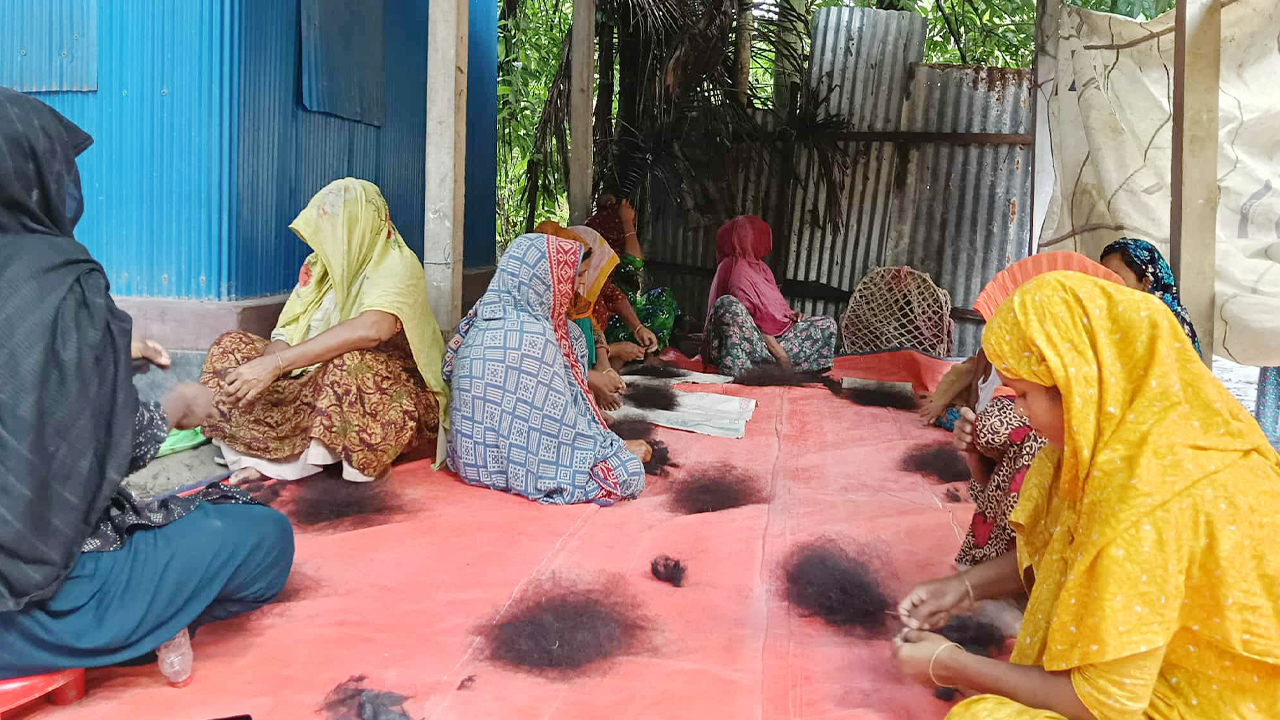 চুল বাছাই করে সংসার চালান শতাধিক নারী
