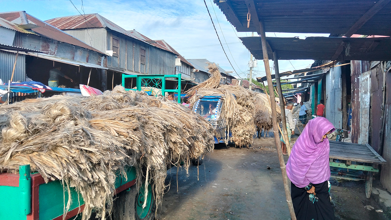 মুন্সীগঞ্জের শতবর্ষী হাটে সপ্তাহে বিক্রি হয় ২০ হাজার মণ পাট