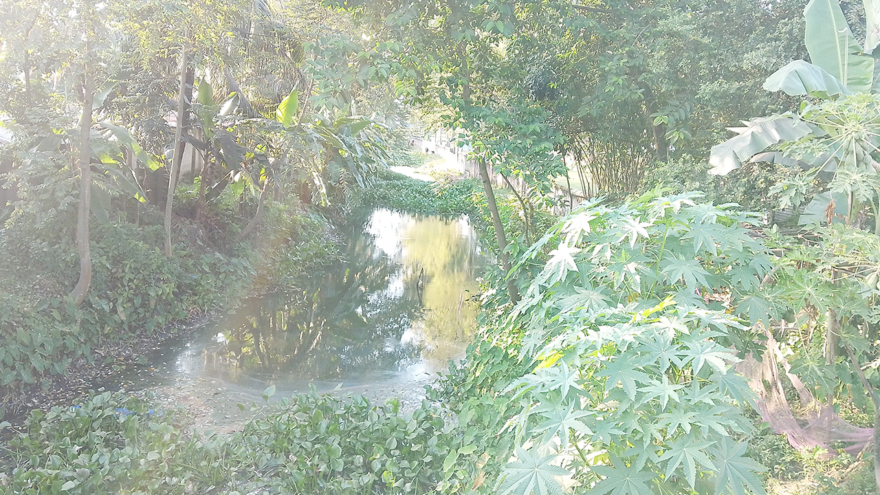 দখল-দূষণে হারিয়ে যাচ্ছে নীলফামারীর বামনডাঙ্গা নদী